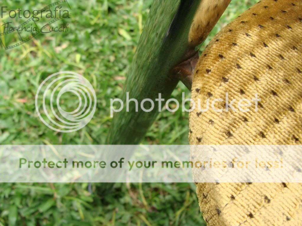 fotografia fotografia