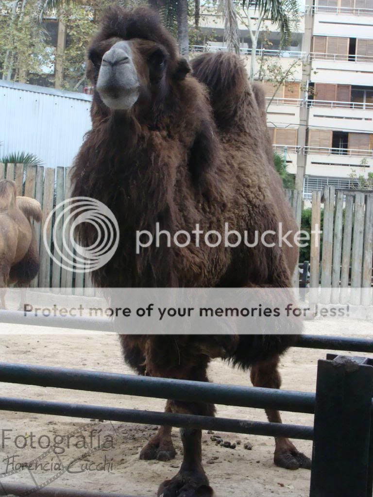 fotos fotos