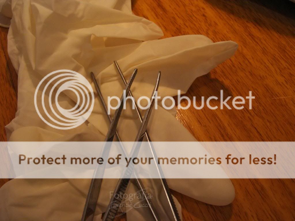 fotos fotos