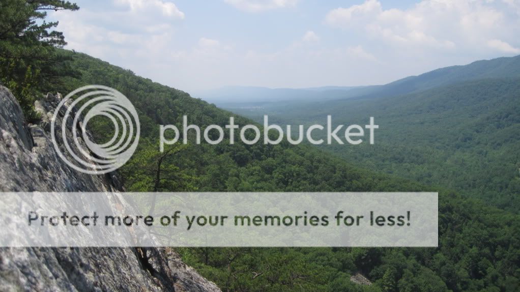 Buzzard Rock Vista