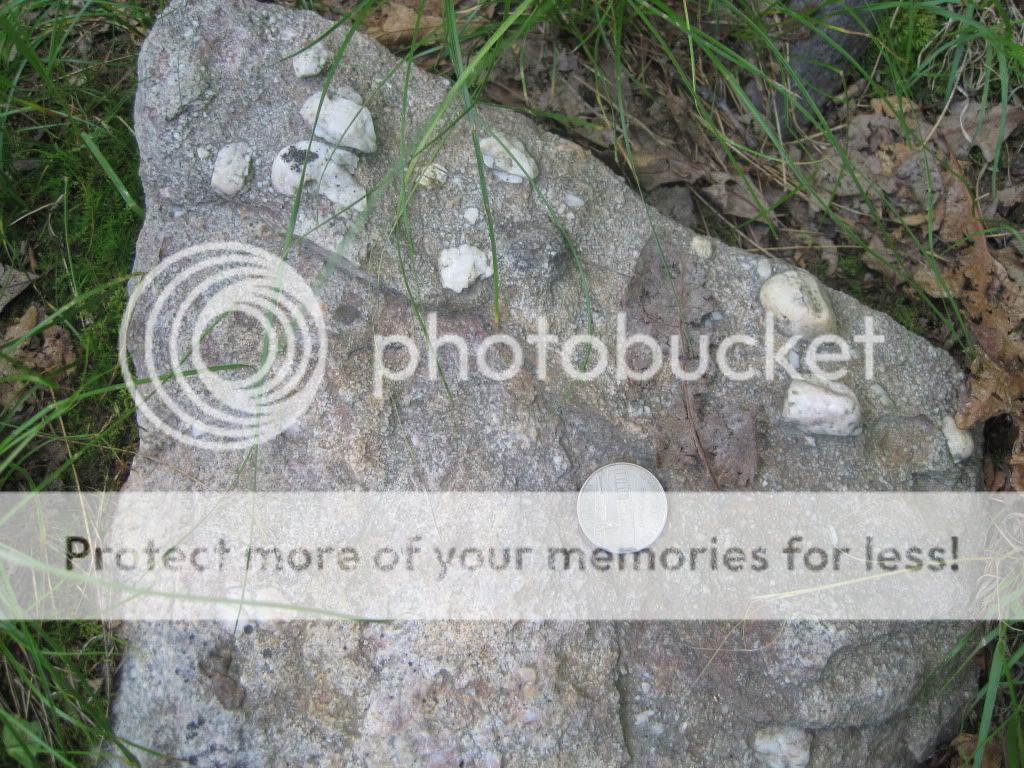 MSS conglomerate with large quartz pebbles