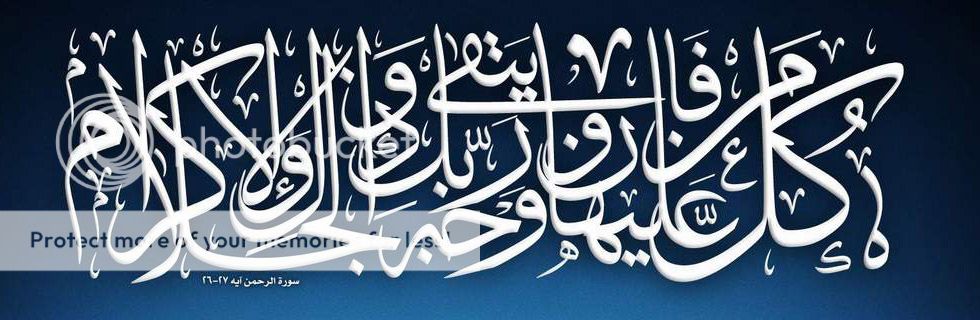 Where can I get some