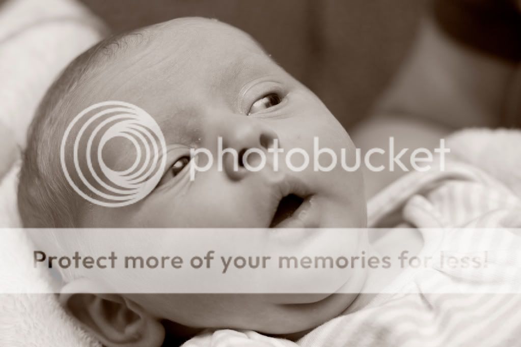 IMAGE: http://i975.photobucket.com/albums/ae239/RickZPhoto/Children%20and%20Babies/1010631134__mg_0597_bw.jpg