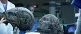 Prometeusz / Prometheus (2012) PLSUBBED.DVDRip.XViD.AC3-NOiSE | POLSKIE NAPISY + RMVB + H264 Prometeusz / Prometheus (2012) PLSUBBED.DVDRip.XViD.AC3-NOiSE | POLSKIE NAPISY + RMVB + H264