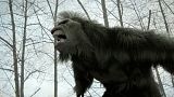 Wielka Stopa / Bigfoot (2012) PL.720p.BRRip.XViD.AC3-NOiSE | POLSKI LEKTOR Wielka Stopa / Bigfoot (2012) PL.720p.BRRip.XViD.AC3-NOiSE | POLSKI LEKTOR