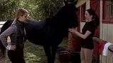 Flicka 3 / Flicka: Country Pride (2012) PL.720p.BRRip.XViD.AC3-NOiSE | POLSKI LEKTOR Flicka 3 / Flicka: Country Pride (2012) PL.720p.BRRip.XViD.AC3-NOiSE | POLSKI LEKTOR
