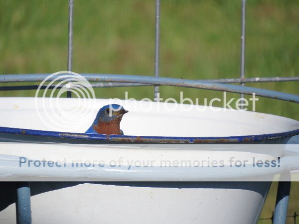 photo 17.jpg