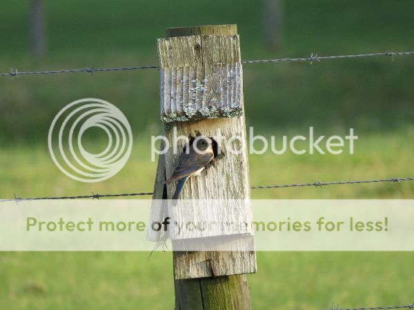 photo 13.jpg