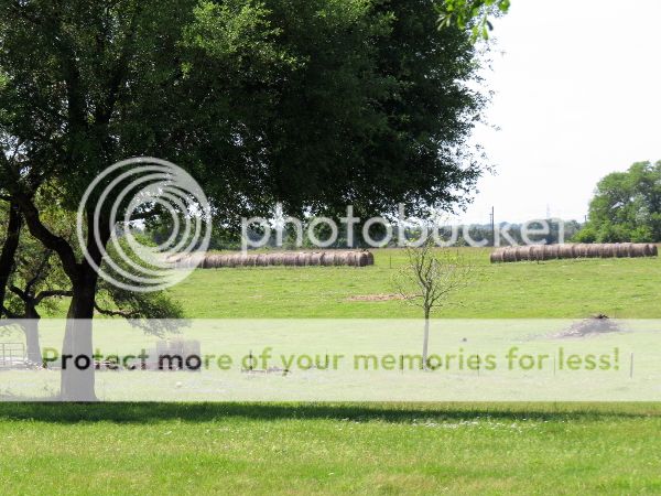 photo 3.jpg
