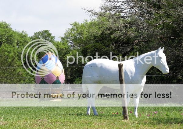 photo 4.jpg