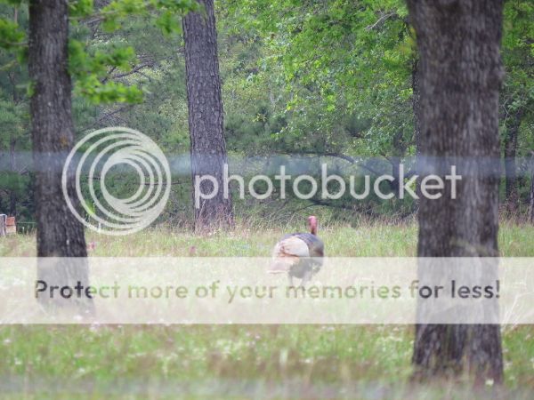 photo 11.jpg