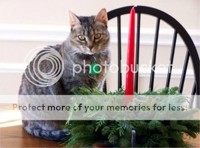 photo 1_wendy.jpg