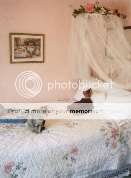 photo 2_wendy.jpg