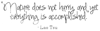 photo qt_hurry.png