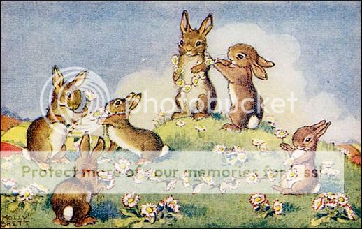 photo rabbits.jpg