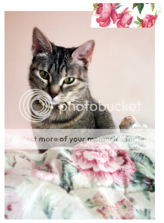 photo wendykitty_pearls.png